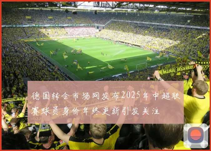 德国转会市场网发布2025年中超联赛球员身价年终更新引发关注