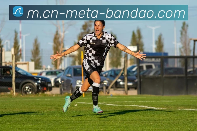 半岛体育发展历程